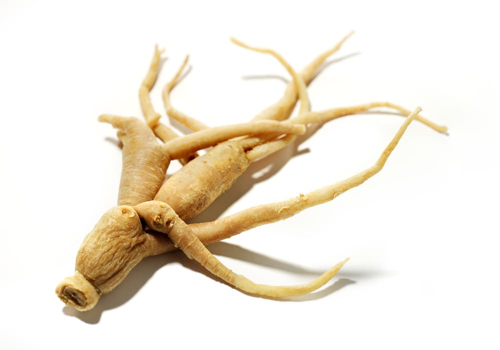 Eleuthero Root Extract – NutraWiki