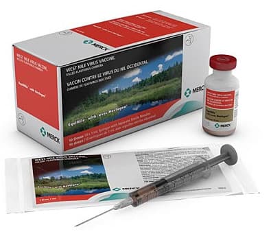 EQUINILE 1 dose - Alliance Animal Care