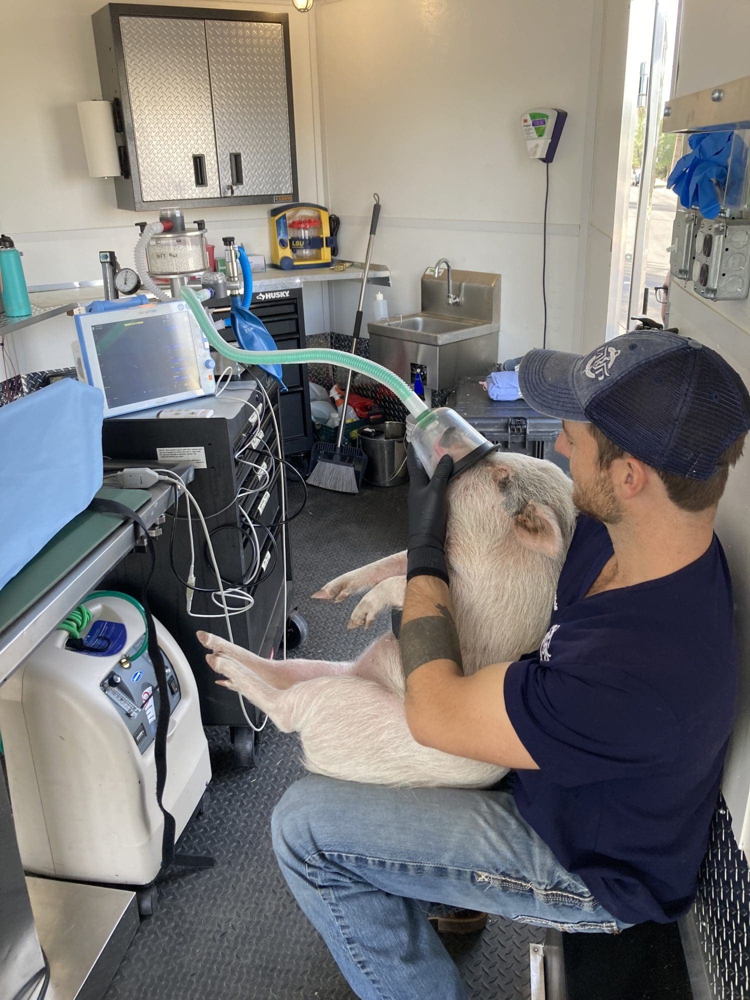 Arizona Livestock & Equine Mobile Veterinarian