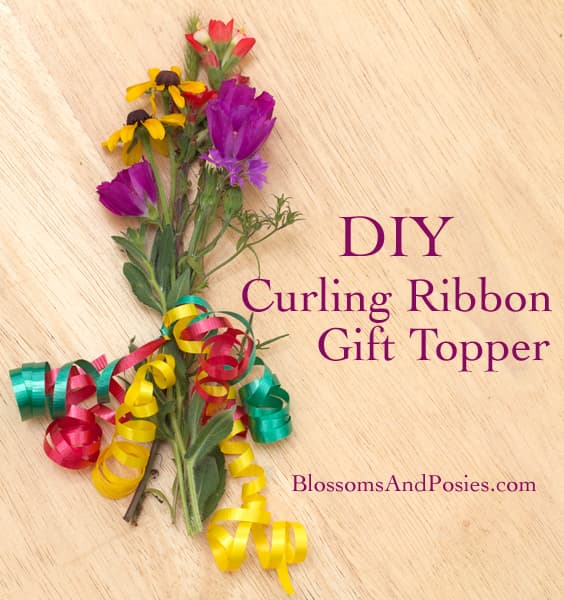 How To Decorate A Gift With Curling Ribbon at Stephanie Post blog