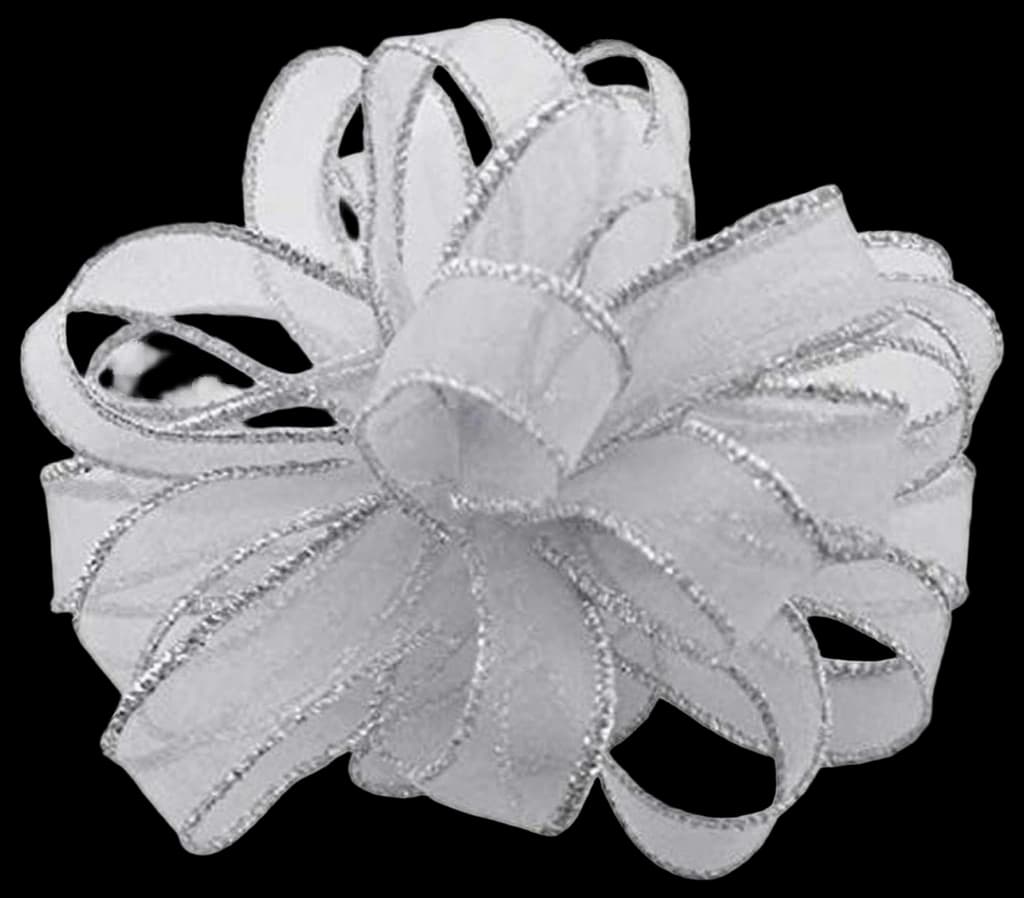 Amazon.com: Berwick Offray DW Sparkle Wired Edge Ribbon-5/8 Wide X 20 ...