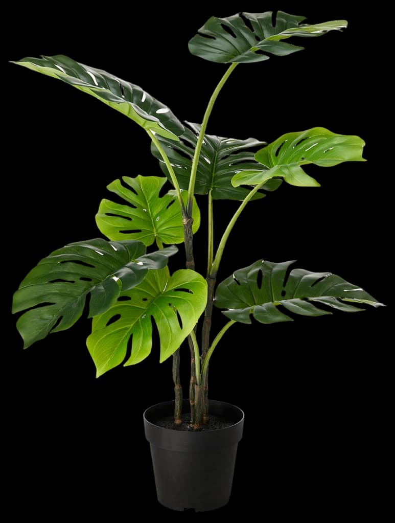 IKEA 203.953.31 Fejka Artificial Potted Plant with Pot, Indoor/Outdoor Succulent