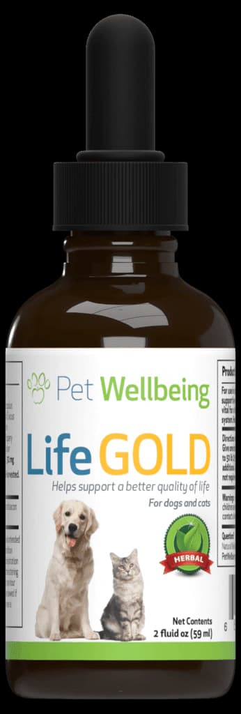 Pet Wellbeing - Life Gold - Trusted Care for Cat & Dog Cancer – Furry ...