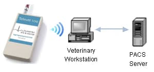 Televet 100 Telemetric ECG&Holter – Vetman