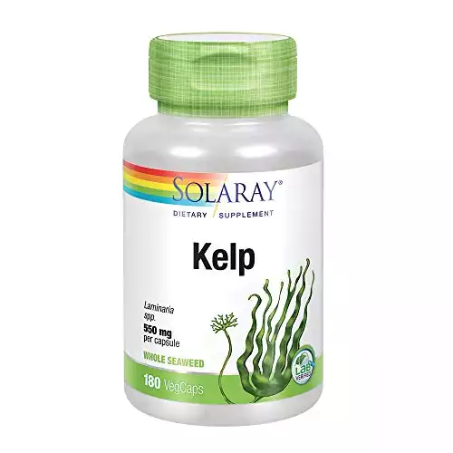 The 10 Best Kelp Supplements (March 2025) - Jacked Gorilla