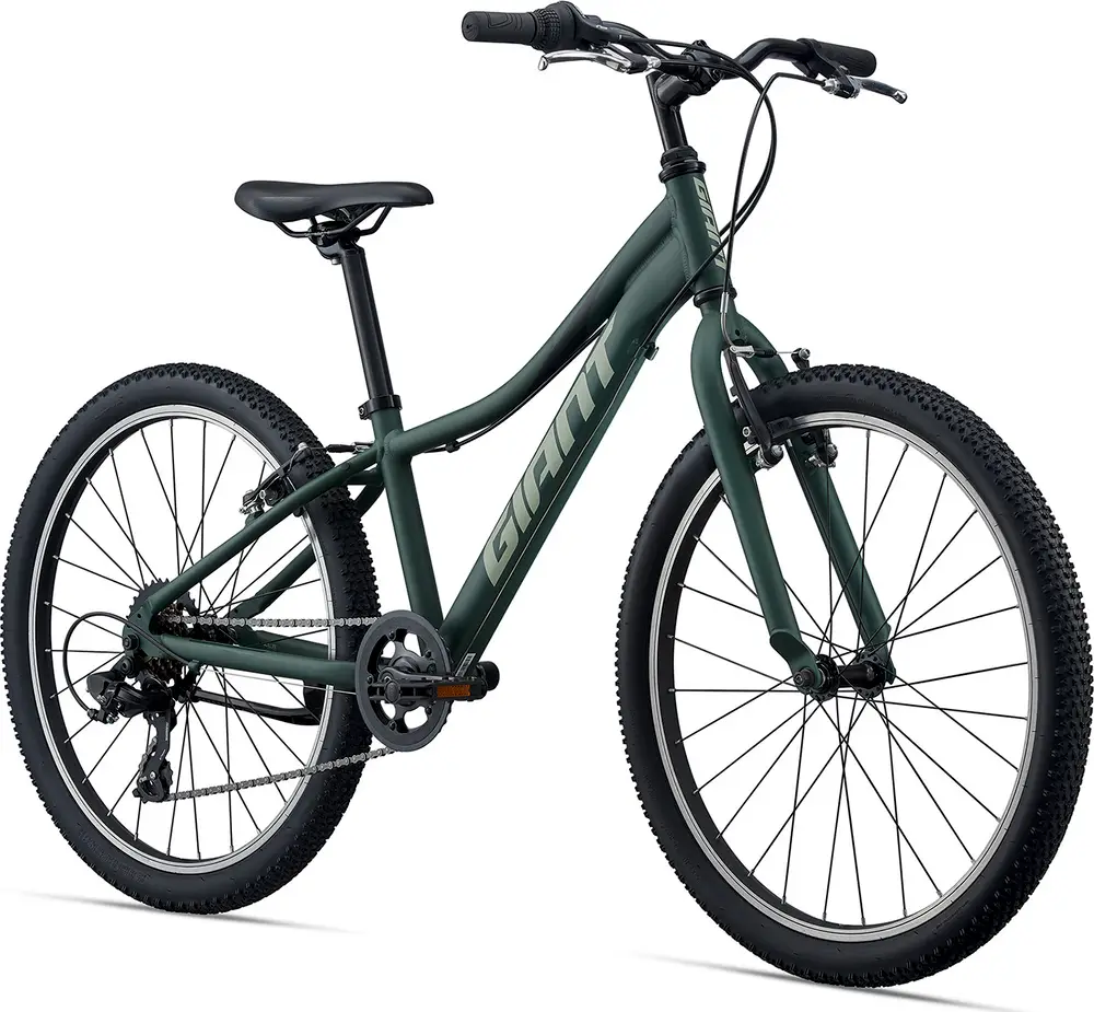 2021 Giant XTC Jr 24 Lite – Specs, Comparisons, Reviews – 99 Spokes