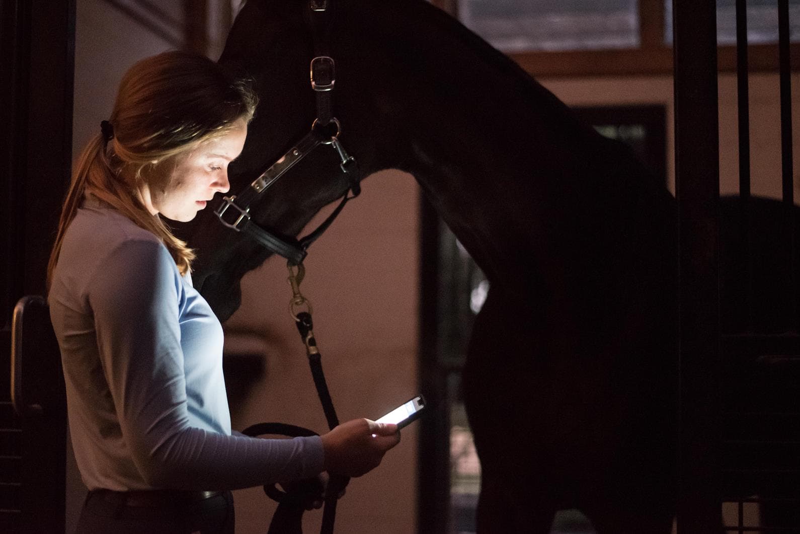 NIGHTWATCH® Smart Halter™: Because You Can't Always Be There | US ...