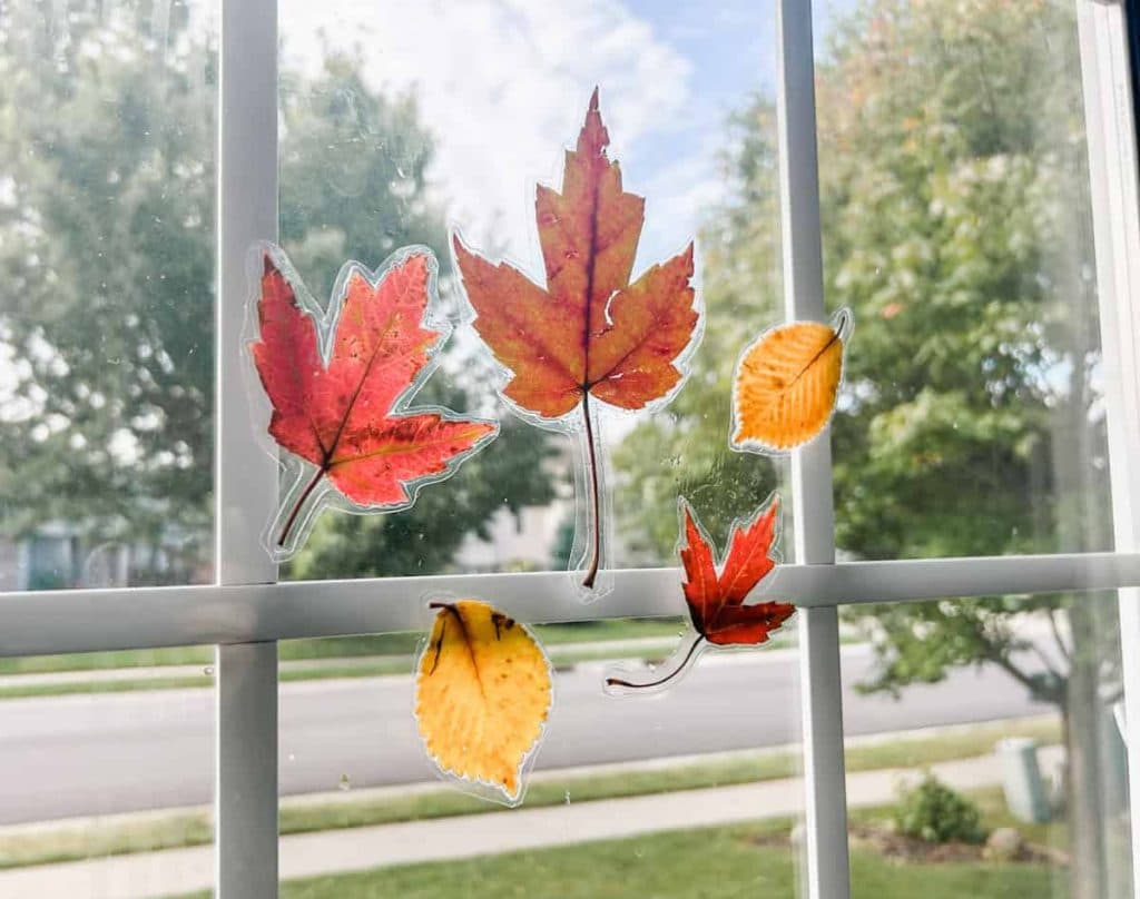 Fall Leaf DIY Window Clings - Fox Farm Home