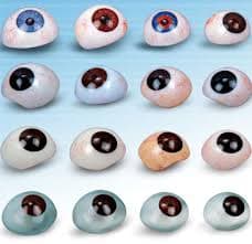 CUSTOM MADE ARTIFICIAL EYE - Friends Optical