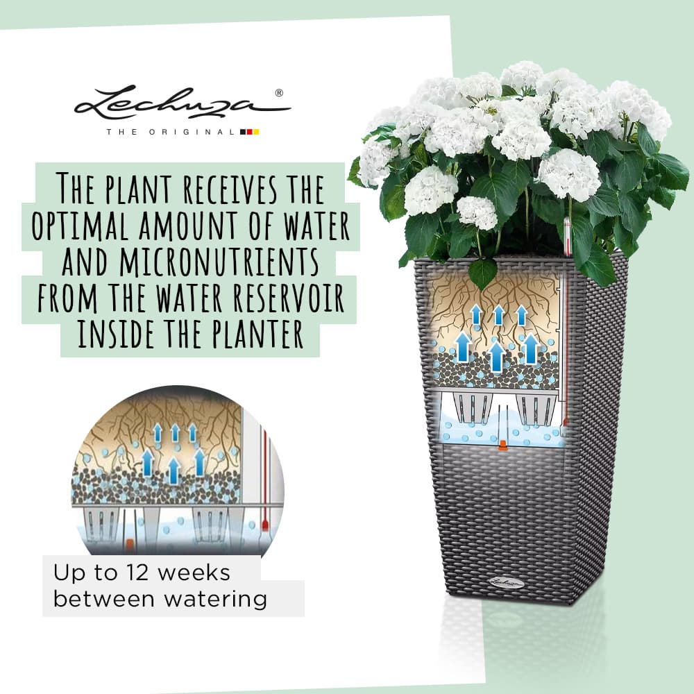 LECHUZA CUBICO Cottage 30 Graphite Black Self-watering Planter Plant ...