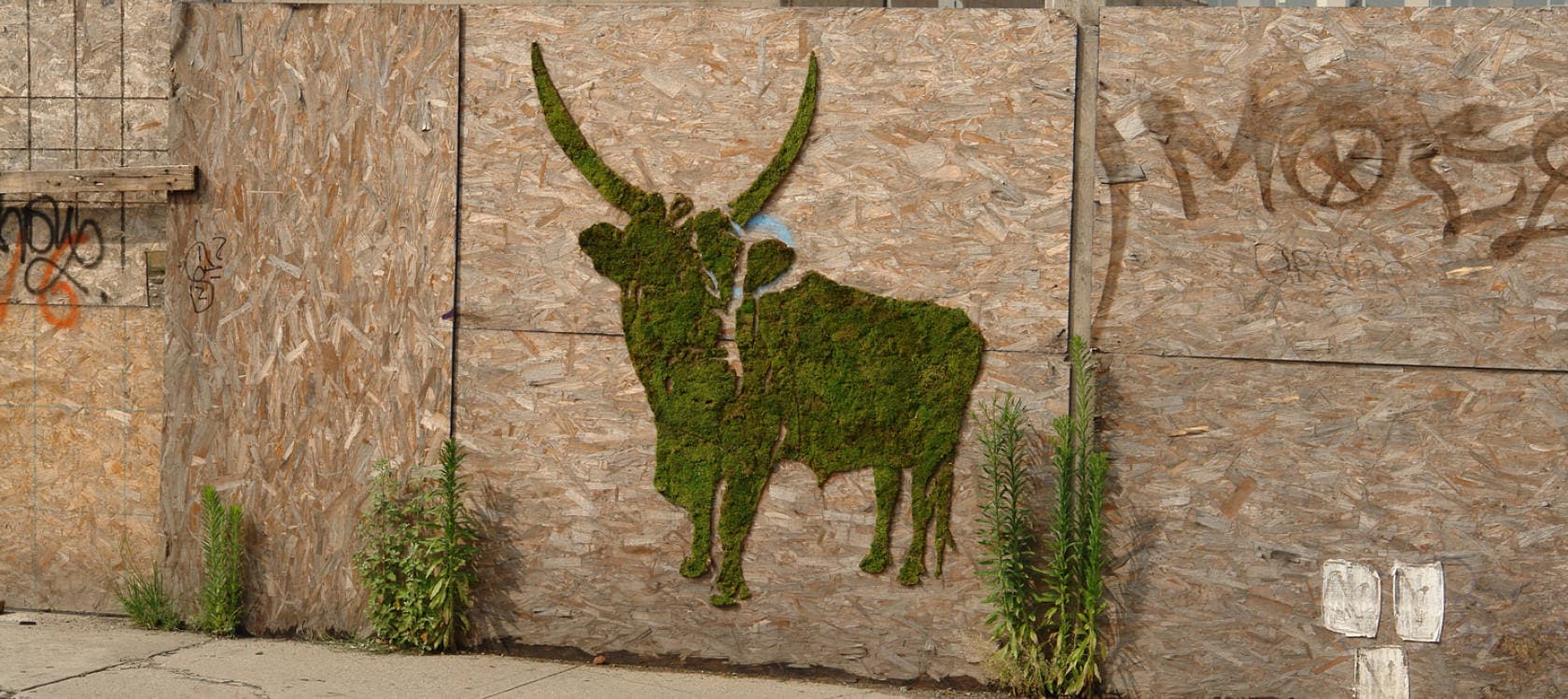 Eco-Friendly Graffiti Art for Green Street Installations