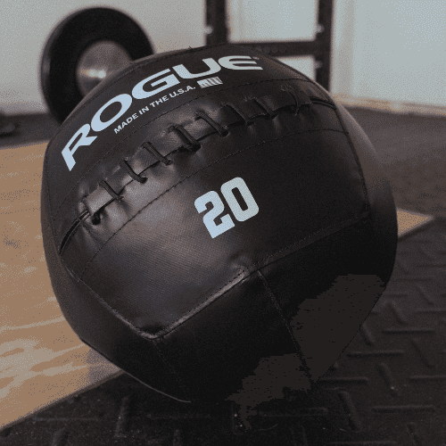 Best Medicine Ball For a Home Gym (Strength Coach Picks 2025) – Horton ...