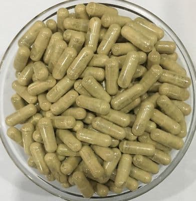 Hoodia Gordonii 20:1 Extract Capsules Suppresses Appetiie Pure ...