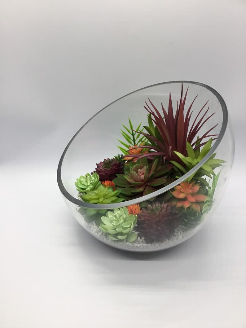 Artificial Succulent Terrarium Kit 7slant Cut Glass - Etsy