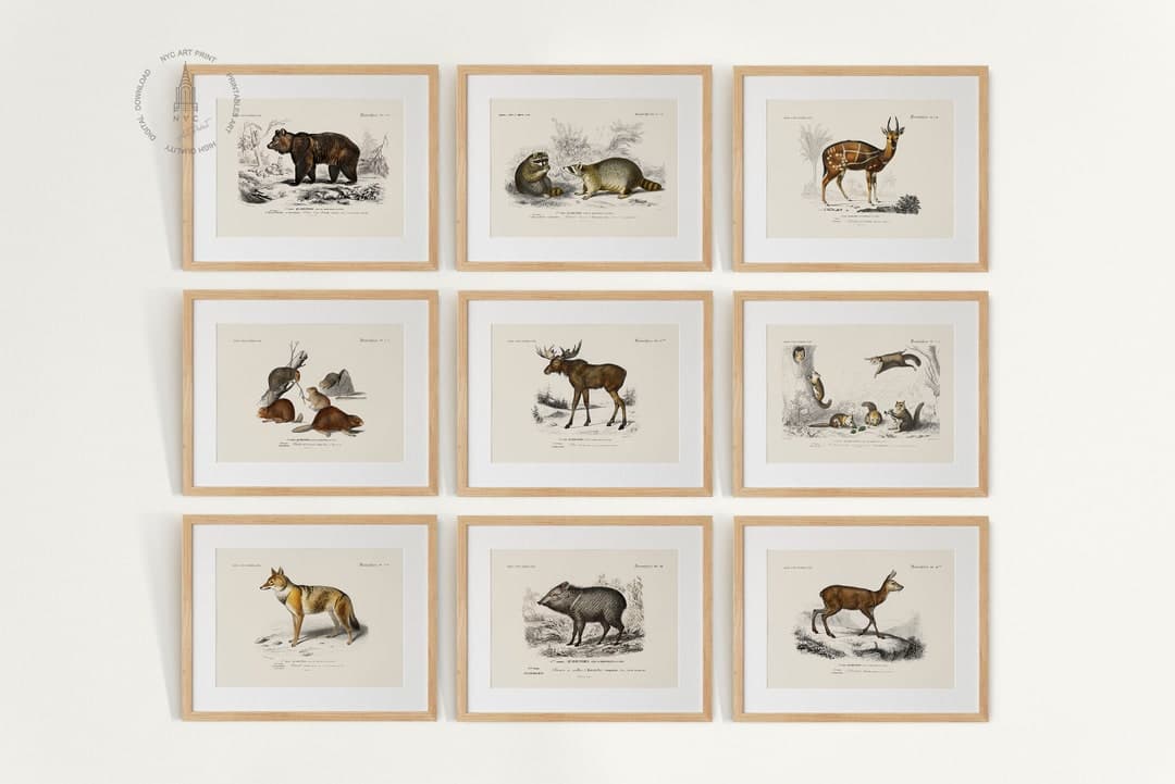 Woodland Animal Gallery Wall Set of 9, Woodland Nursery Art Prints ...