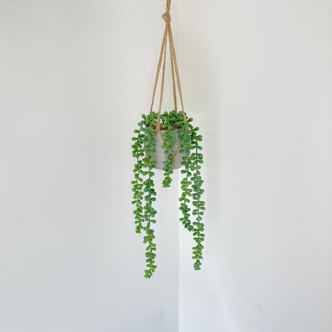 Artificial Trailing String of Pearls House Plant-faux Trailing Plant ...