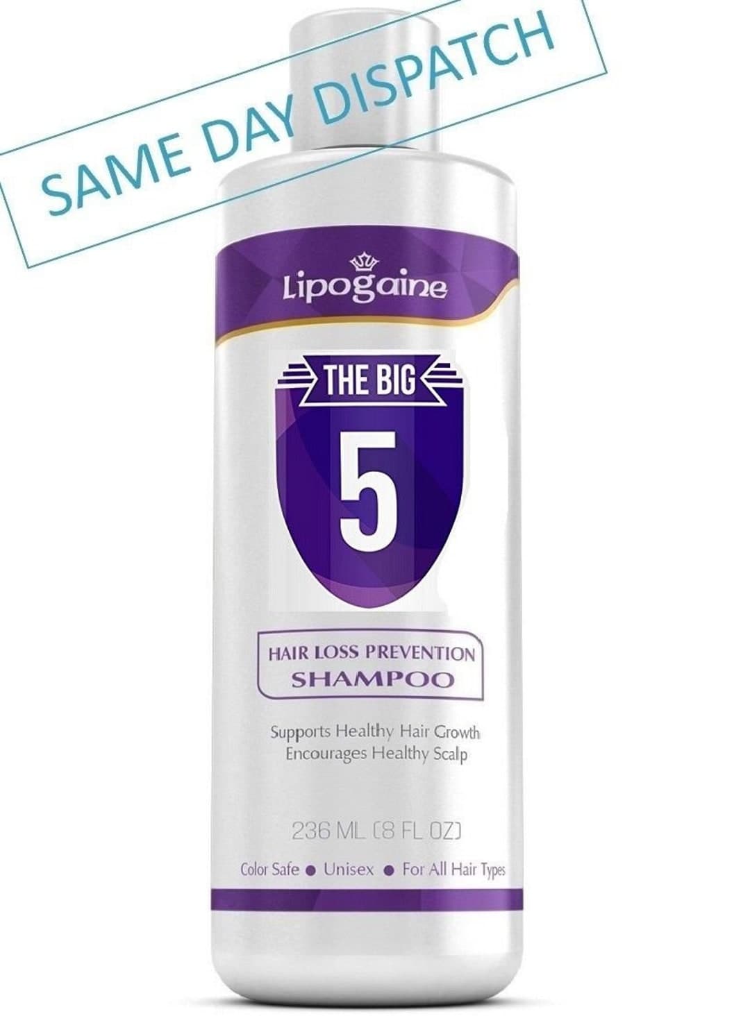LIPOGAINE the BIG 5 Premium Organic Hair Loss Prevention and Anti Dht ...