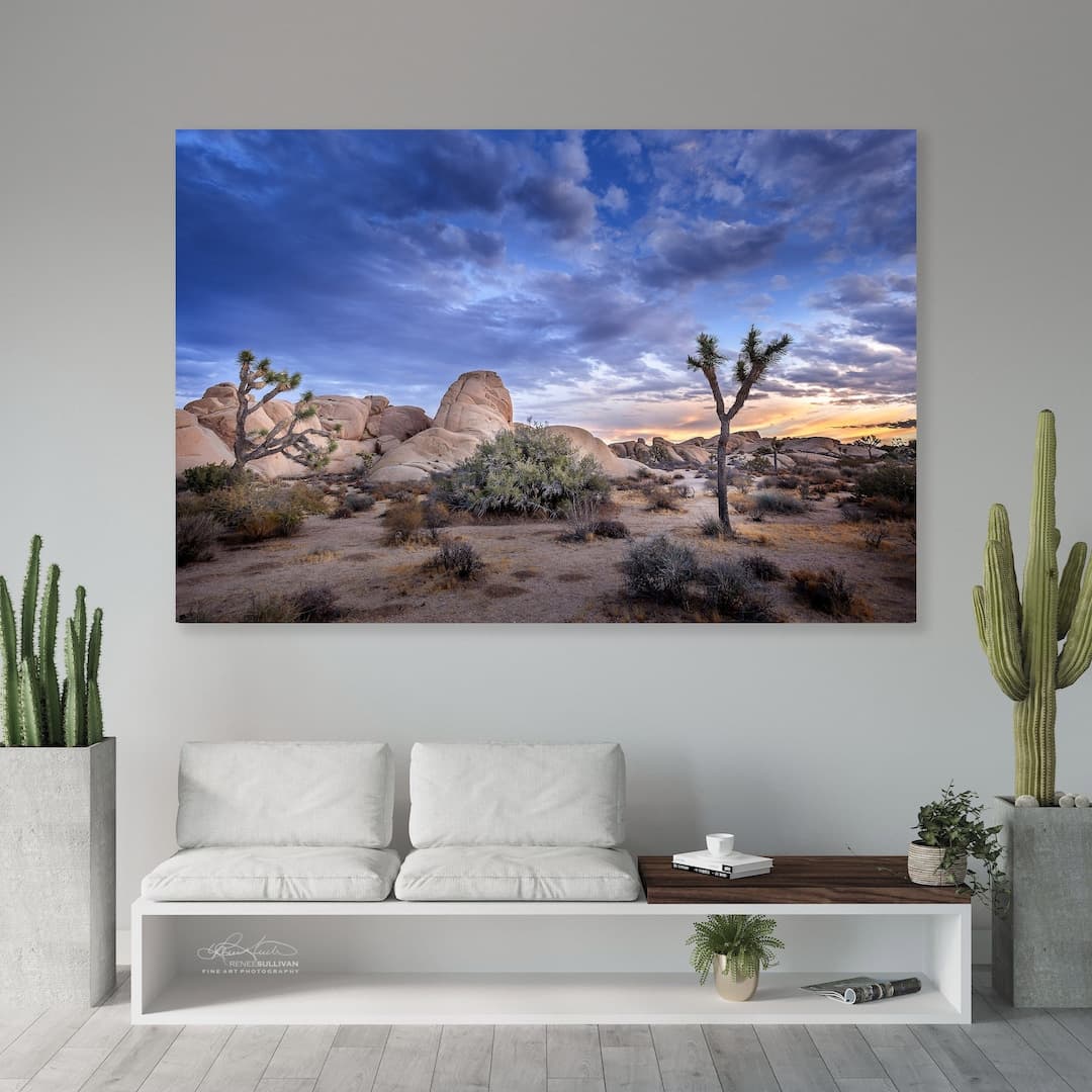 Joshua Tree National Park/mojave Desert/southwest Nature Landscape/fine ...
