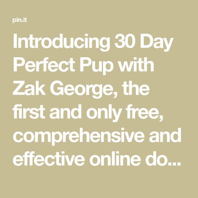 30 Day Perfect Pup: Free Online Dog Training with Zak George