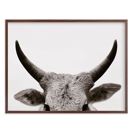 West Elm | Art, Art prints, Limited edition art print