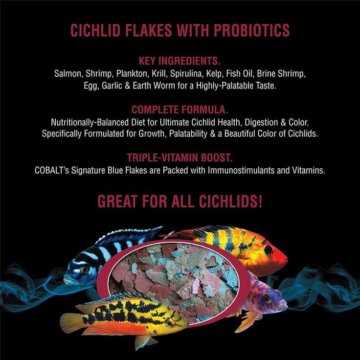 Cobalt Aquatics Cichlid Fish Food Flakes with Probiotics