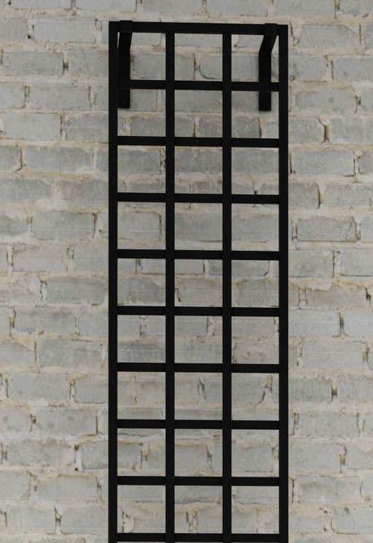 Modern Black Wall-Mounted Trellis