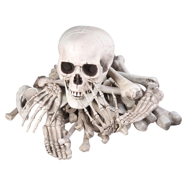 Prextex Bag of Skeleton Bones and Skull