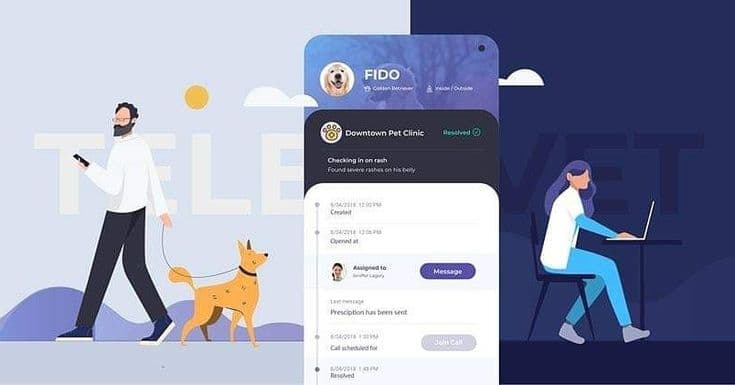 Remote healthcare services with TeleVet | Mobile vet, Health care, Pets