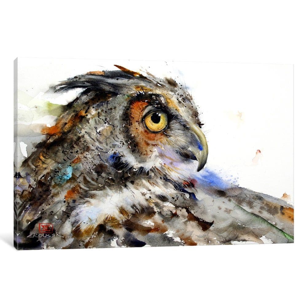 iCanvas 'Owl II' by Dean Crouser Canvas Print | Сова акварелью, Рисунки ...