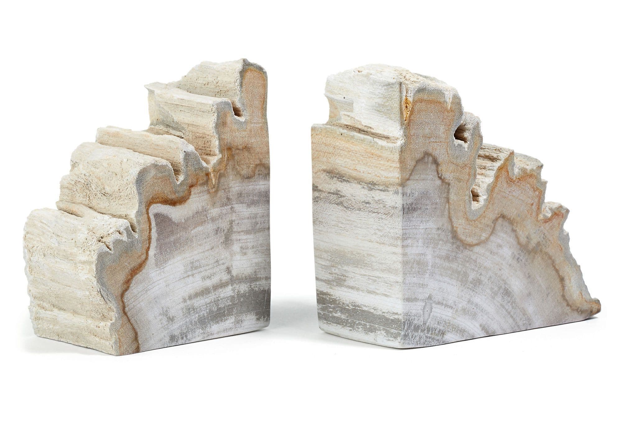 Pair of Petrified-Wood Bookends | Wood bookends, Petrified wood, Bookends