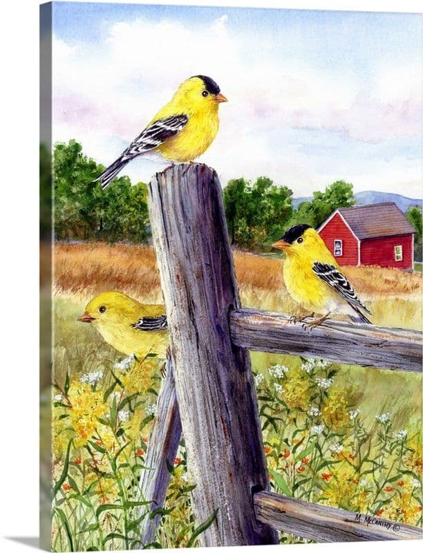 Goldfinch | Bird art, Canvas art, Big canvas art