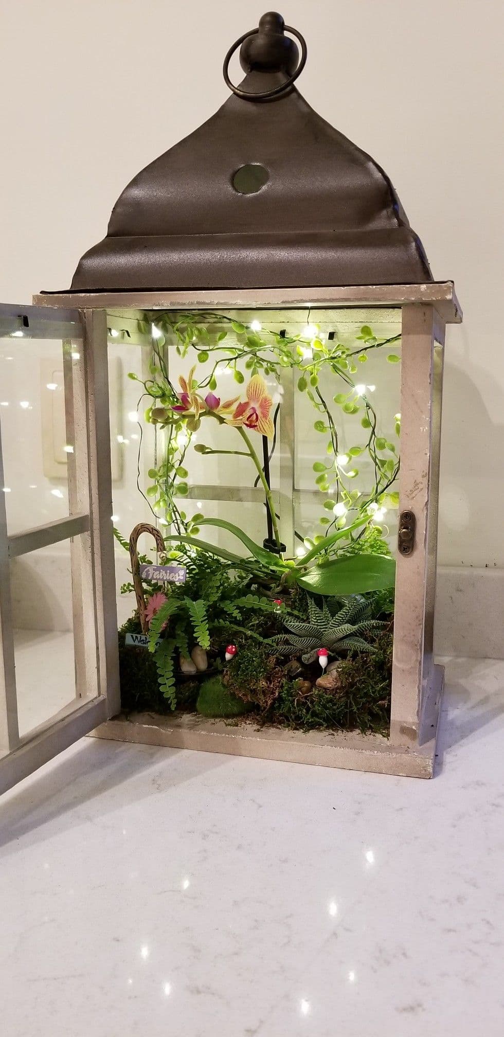 Terrarium Lantern Centerpieces at Jackson Steinfeld blog