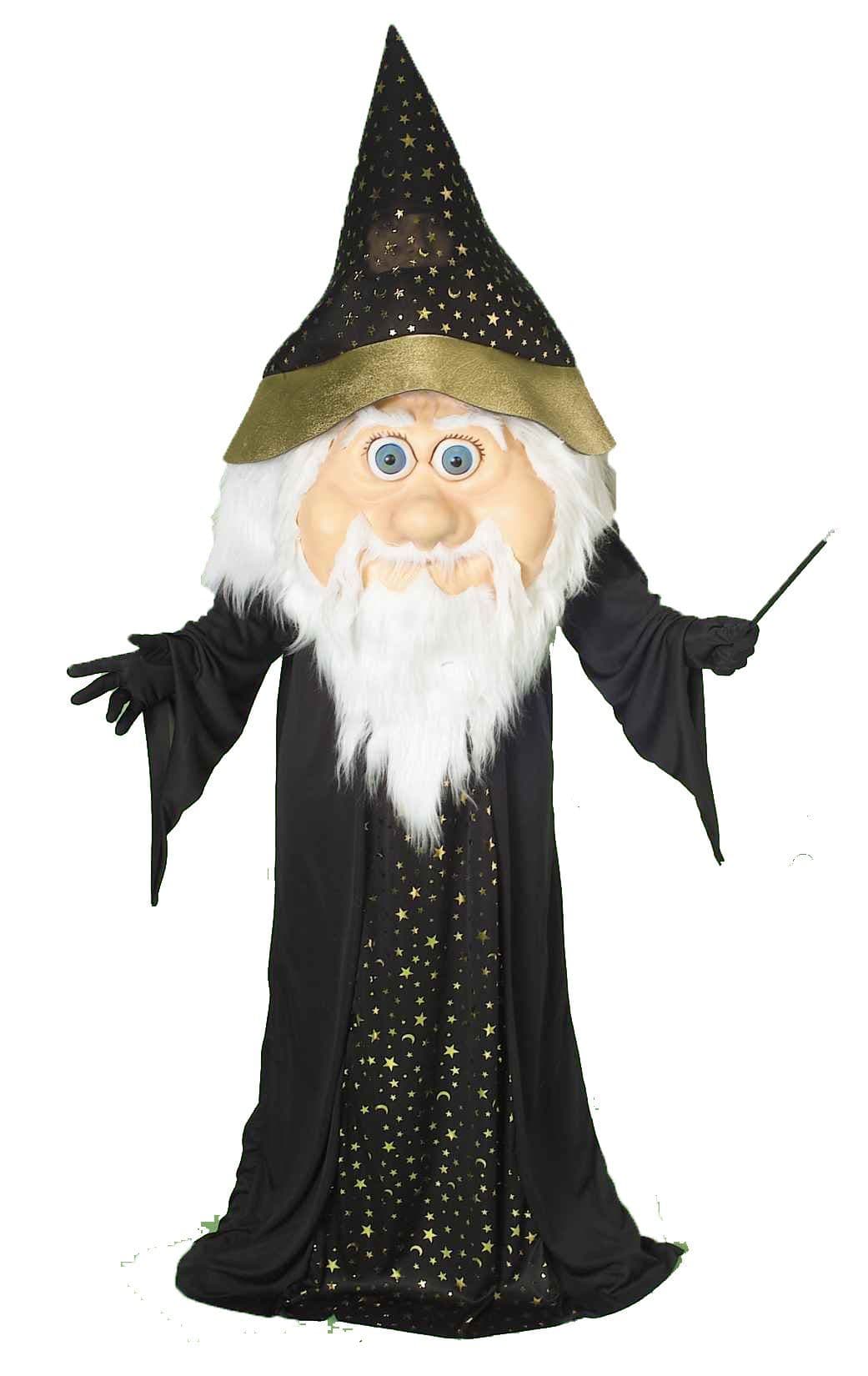 Forum Novelties Men's Plus-Size Oversized Wizard Costume, Black/Gold ...