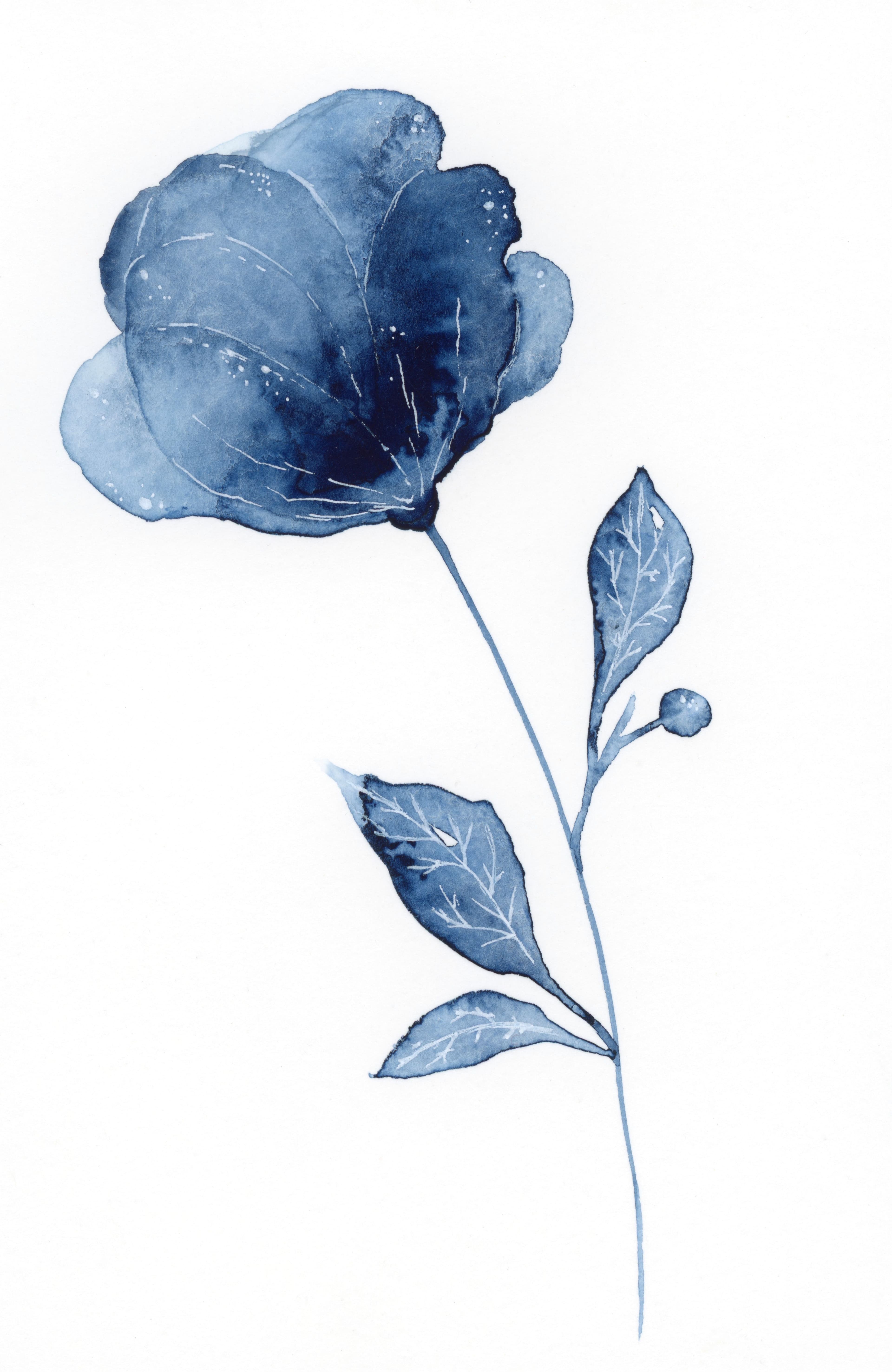 Indigo Drawing