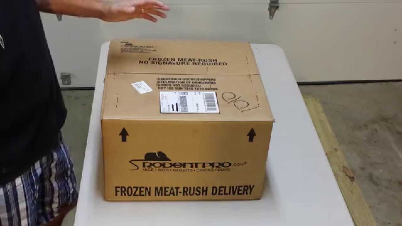 Rodent Pro frozen feeder unboxing - YouTube