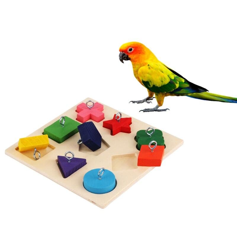 Pet Educational Toys Birds Parrot Interactive Trai... – Grandado