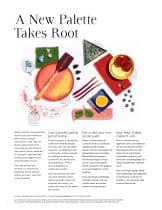 Shaw Contract Dye Lab - Shaw Contract - PDF Catalogs | Documentation ...