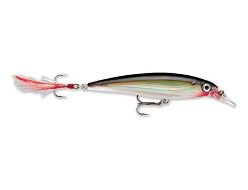 Rapala X-Rap 10 Live Perch