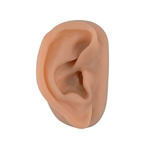 Acupuncture Ear Model, Right Artificial Ear Replica for Auricular Therapy Teaching, Silicone Ear Simulator (Brown)