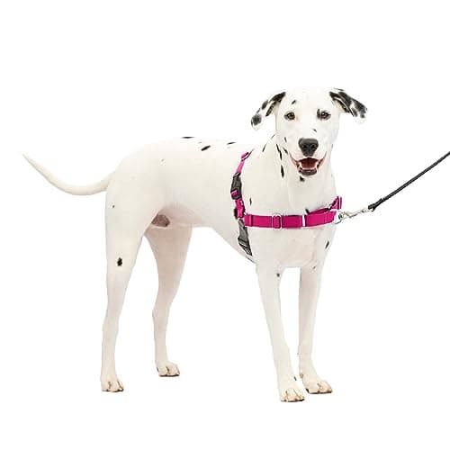 Petsafe Easy Walk Dog Harness, No Pull Dog Harness, Raspberry/Gray, Medium