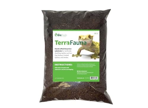 Terra Firma Bioactive Kit 10 gallon – The Bio Dude