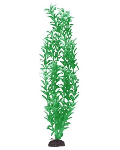 Penn Plax APFP2 Aqua-Plants Betta Plants - Small - Walmart.com