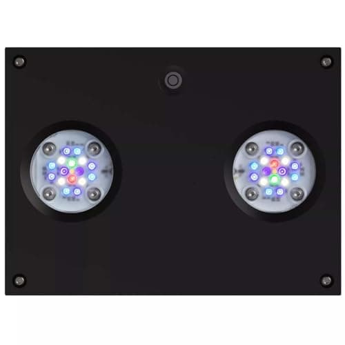 AquaIllumination Hydra 32 HD LED Lights Top FAQs Bulk Reef