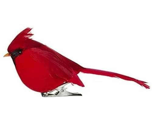 Amazon.com: RAZ Imports - 7-inch Clip-On Cardinal Ornaments - Set of 2 ...