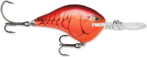 Rapala DT10 Crankbaits