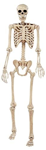 Crazy Bonez Pose-N-Stay Skeleton Wall Hanging