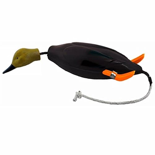 Dokken Dead Fowl Trainers Mallard Duck