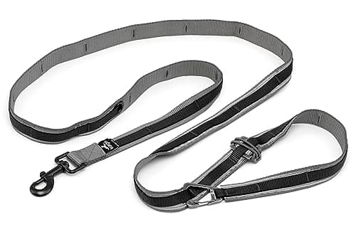 Kurgo 6 in 1 Quantum Leash, Hands Free Leash for Dogs, Running Belt ...