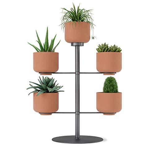 Nesta Desktop Planter | Shop Modern Tabletop Planters – Umbra | Modern ...