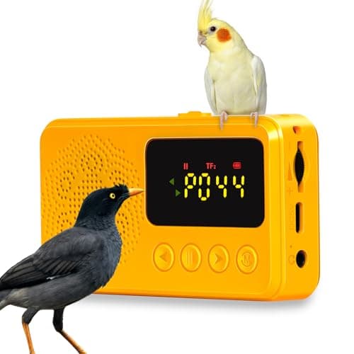 Training Toy Set Interactive Parrot Appliance Set ... – Grandado